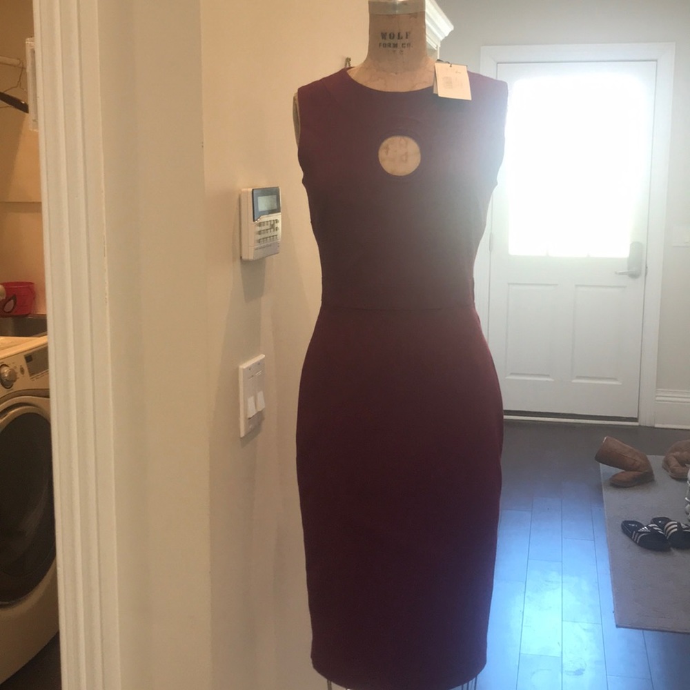 Brand new with tag RAOUL dress